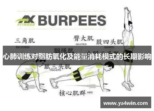 心肺训练对脂肪氧化及能量消耗模式的长期影响