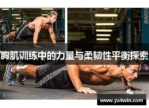 胸肌训练中的力量与柔韧性平衡探索